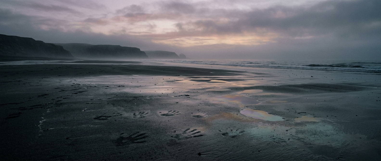 A desolate misty coastline at dusk, wet dark sand stretching to a grey horizon with faint iridescent puddles reflecting a pale violet and amber sky.